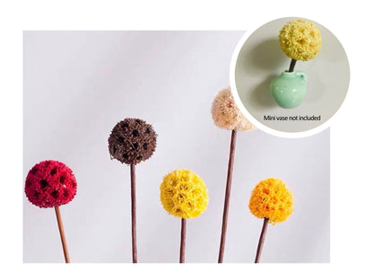 🏆🌸Mini Ceramics Vase Fridge Magnet