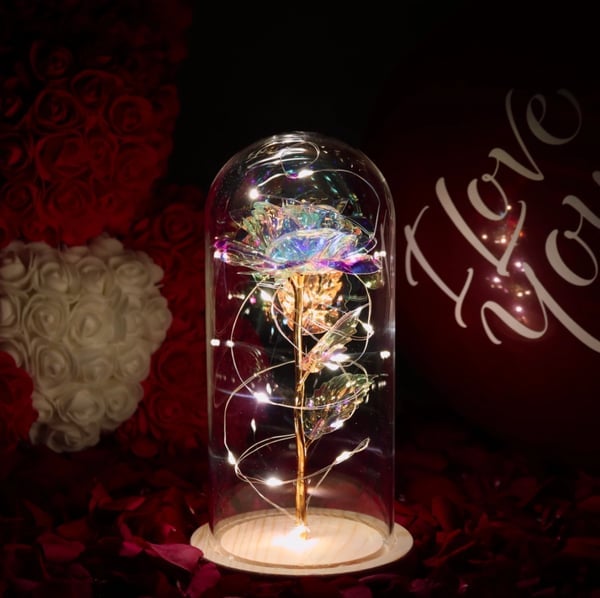 🌹Love Never Fade Rose🏆
