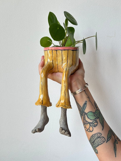Creative furniture flower pot💋