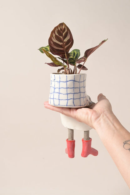 Creative furniture flower pot💋