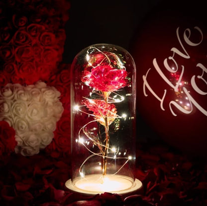 🌹Love Never Fade Rose🏆