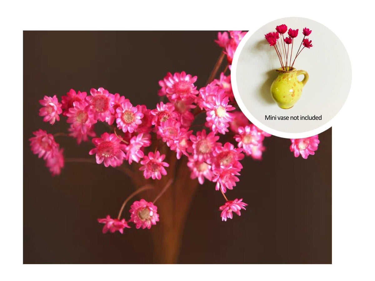 🏆🌸Mini Ceramics Vase Fridge Magnet