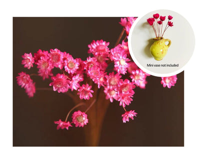 🏆🌸Mini Ceramics Vase Fridge Magnet